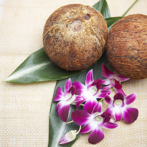 코코넛(FO)-국산